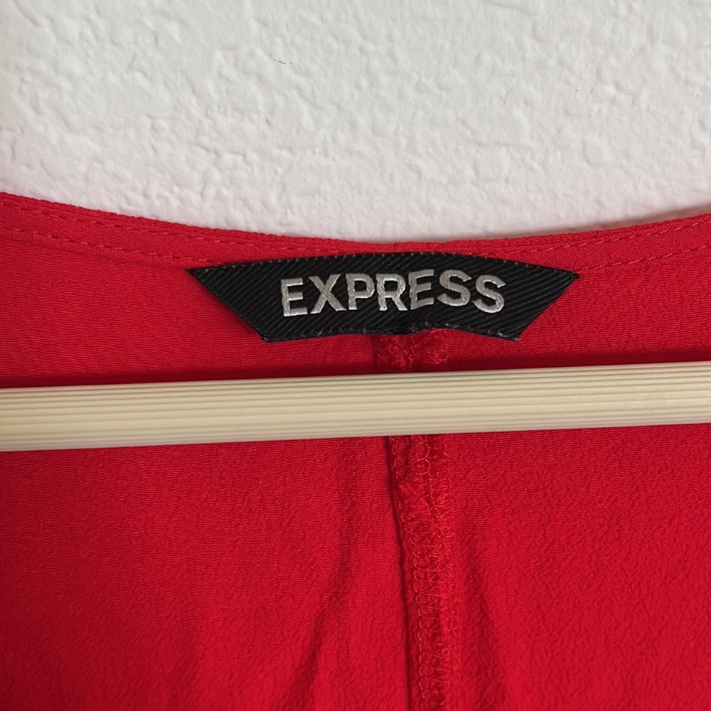 Express Dress - Picture 3 of 3